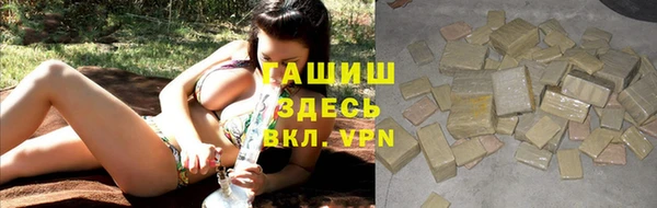 стафф Ельня