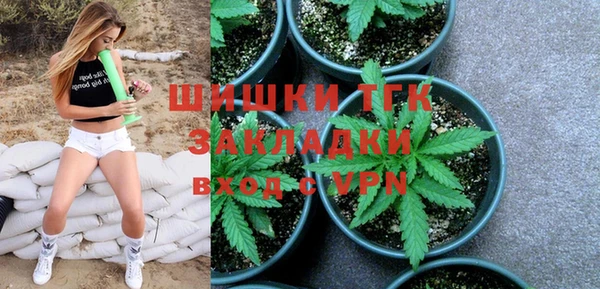 прущая мука Дмитриев