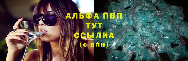 прущая мука Дмитриев