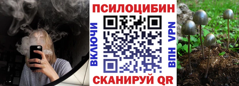 Купить закладки  Дивногорск  Галлюциногенные грибы мухоморы 